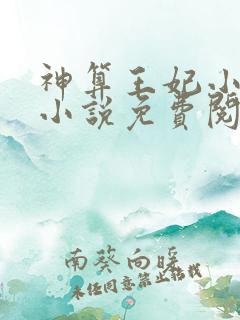 神算王妃小时锦小说免费阅读无弹窗全文