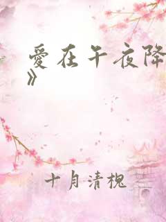 爱在午夜降临前》