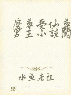 魔尊受仙尊攻双男主小说阅读