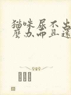 猫咪尿不出尿怎么办而且还有血