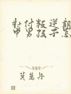 对付叛逆期的初中男孩子怎么办