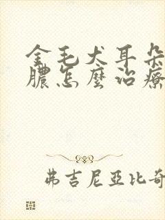 金毛犬耳朵里流脓怎么治疗