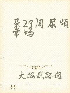 孕29周尿频正常吗