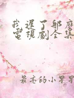 我迟了那么多年电视剧全集免费播放