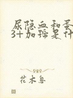 尿隐血和蛋白质3+加号是什么回事