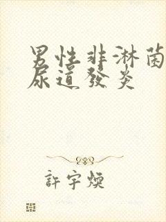 男性非淋菌性的尿道发炎