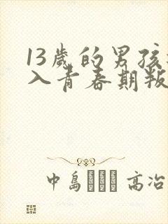 13岁的男孩进入青春期叛逆怎样管