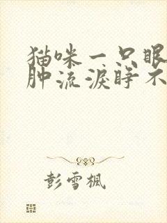 猫咪一只眼睛红肿流泪睁不开怎么办