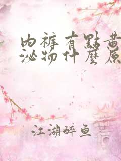 内裤有点黄色分泌物什么原因