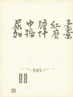 尿中胆红素一个加号什么意思