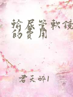 输尿管软镜取石的费用