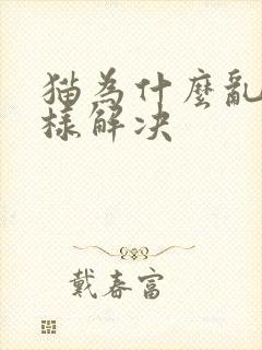 猫为什么乱尿怎样解决