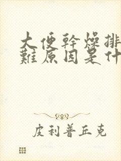 大便干燥排便困难原因是什么