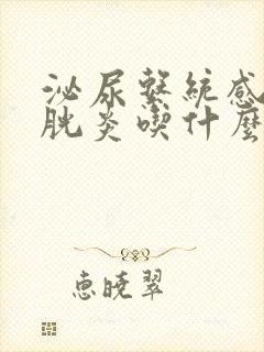 泌尿系统感染膀胱炎吃什么药