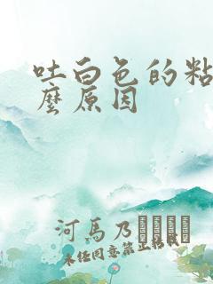 吐白色的粘液什么原因