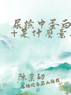 尿检中蛋白质2+是什么意思