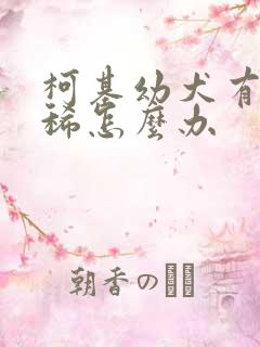 柯基幼犬有点拉稀怎么办