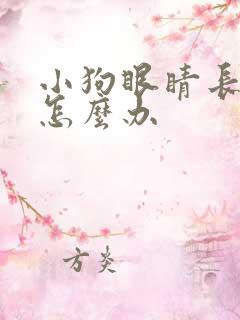 小狗眼睛长眼屎怎么办