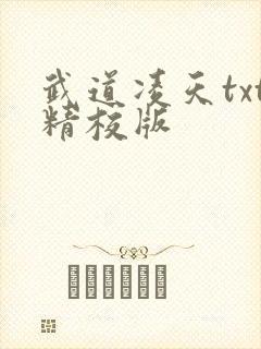 武道凌天txt精校版