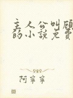 主人公叫顾北弦的小说免费阅读