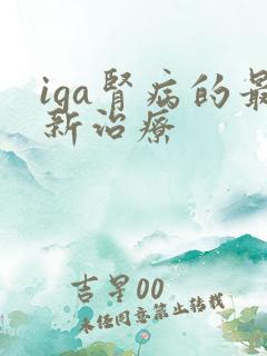 iga肾病的最新治疗