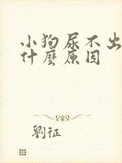 小狗尿不出尿是什么原因