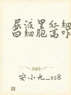 尿液里红细胞和白细胞高咋回事