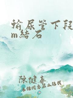 输尿管下段8mm结石