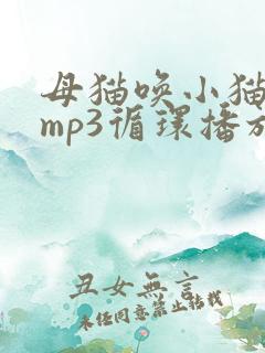 母猫唤小猫声音mp3循环播放