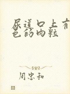 尿道口上有个白色的肉粒