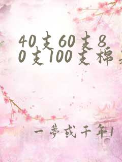 40支60支80支100支棉是什么意思