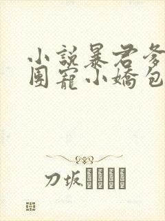 小说暴君爹爹的团宠小娇包