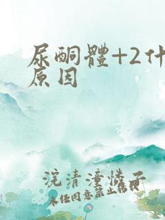 尿酮体+2什么原因