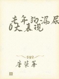 老年狗漏尿的10大表现