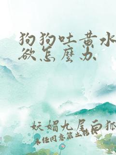 狗狗吐黄水没食欲怎么办