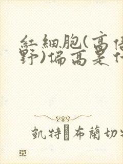 红细胞(高倍视野)偏高是什么意思