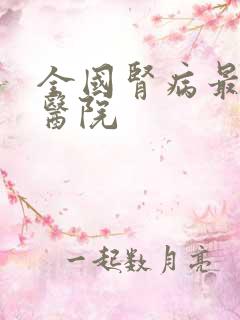 全国肾病最权威医院