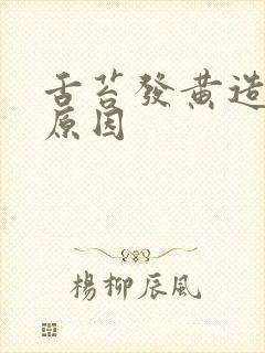 舌苔发黄造成的原因