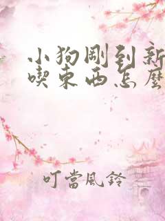 小狗刚到新家不吃东西怎么办