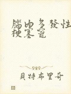 脑内多发性腔隙梗塞灶