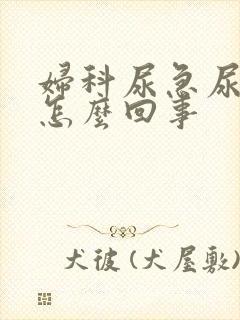 妇科尿急尿频是怎么回事