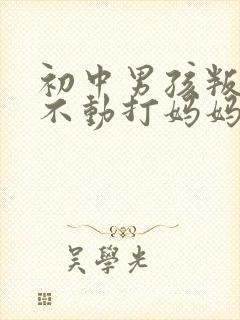 初中男孩叛逆动不动打妈妈怎么办