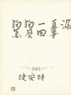 狗狗一直漏尿是怎么回事