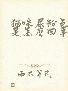 猫咪尿粉色的尿是怎么回事