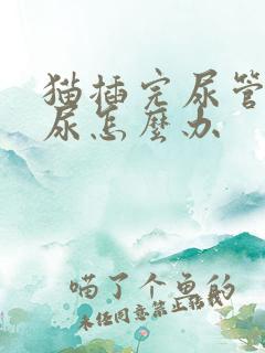 猫插完尿管后漏尿怎么办