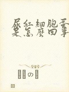 尿红细胞蛋白高是怎么回事