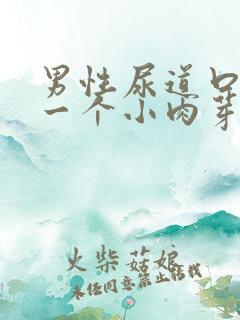 男性尿道口长了一个小肉芽的图片