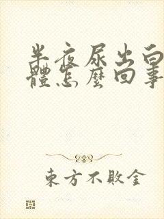 半夜尿出白色液体怎么回事