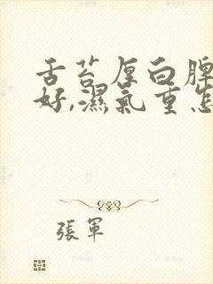 舌苔厚白脾胃不好,湿气重怎么调理