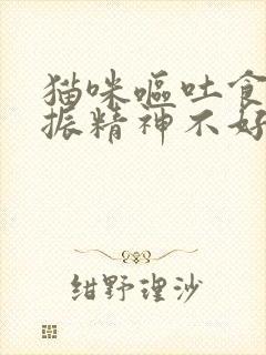 猫咪呕吐食欲不振精神不好